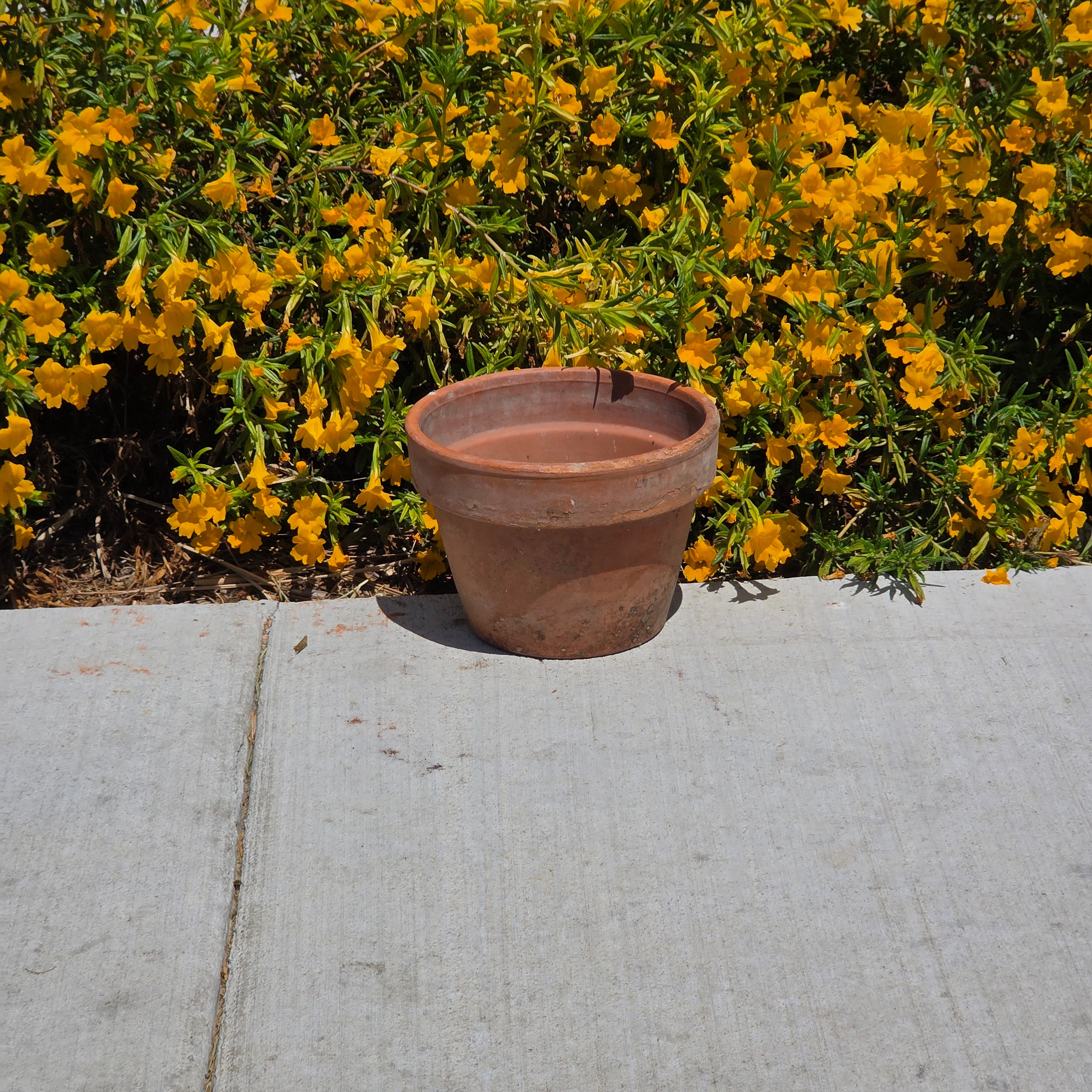 Vintage Italian Terracotta Pot Planter Vaserie Trevigiane Vas Trev 20 Garden 8"