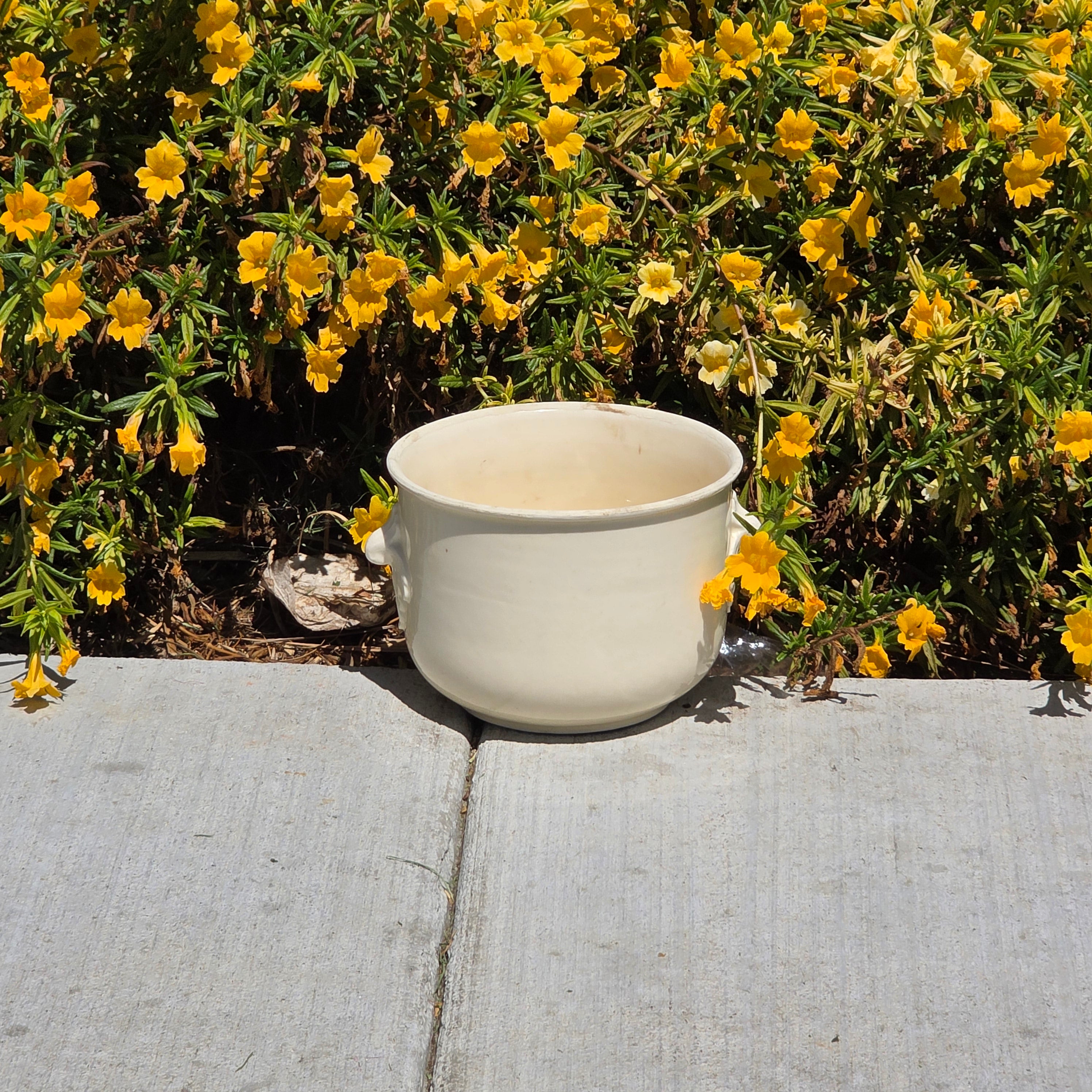 Vintage Czecho-Slovakia White Pottery Planter Cachepot Jardiniere Leaf Handles