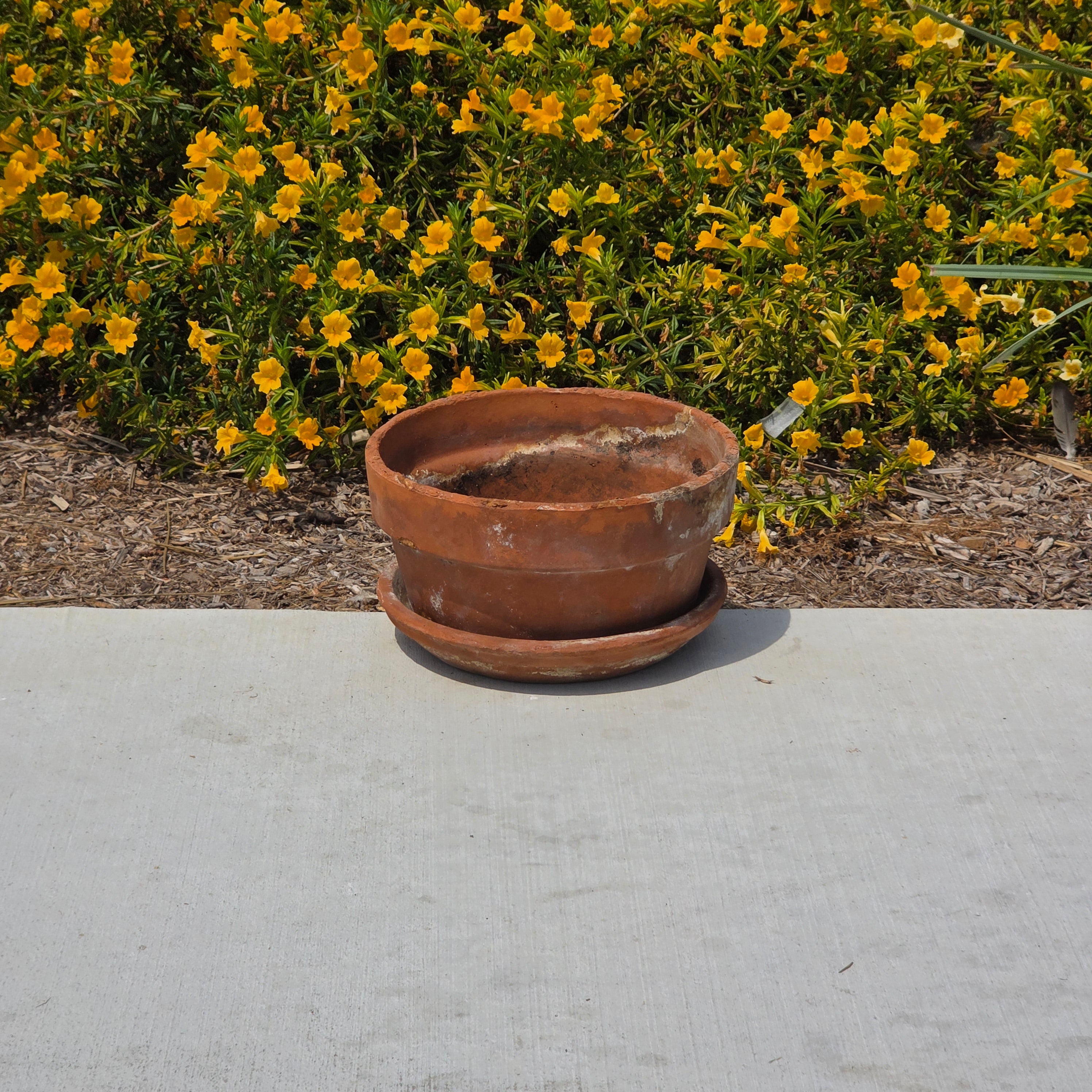 Vintage Deroma Italy Terracotta Planter Pot Saucer Clay Garden Bowl Patina 11"