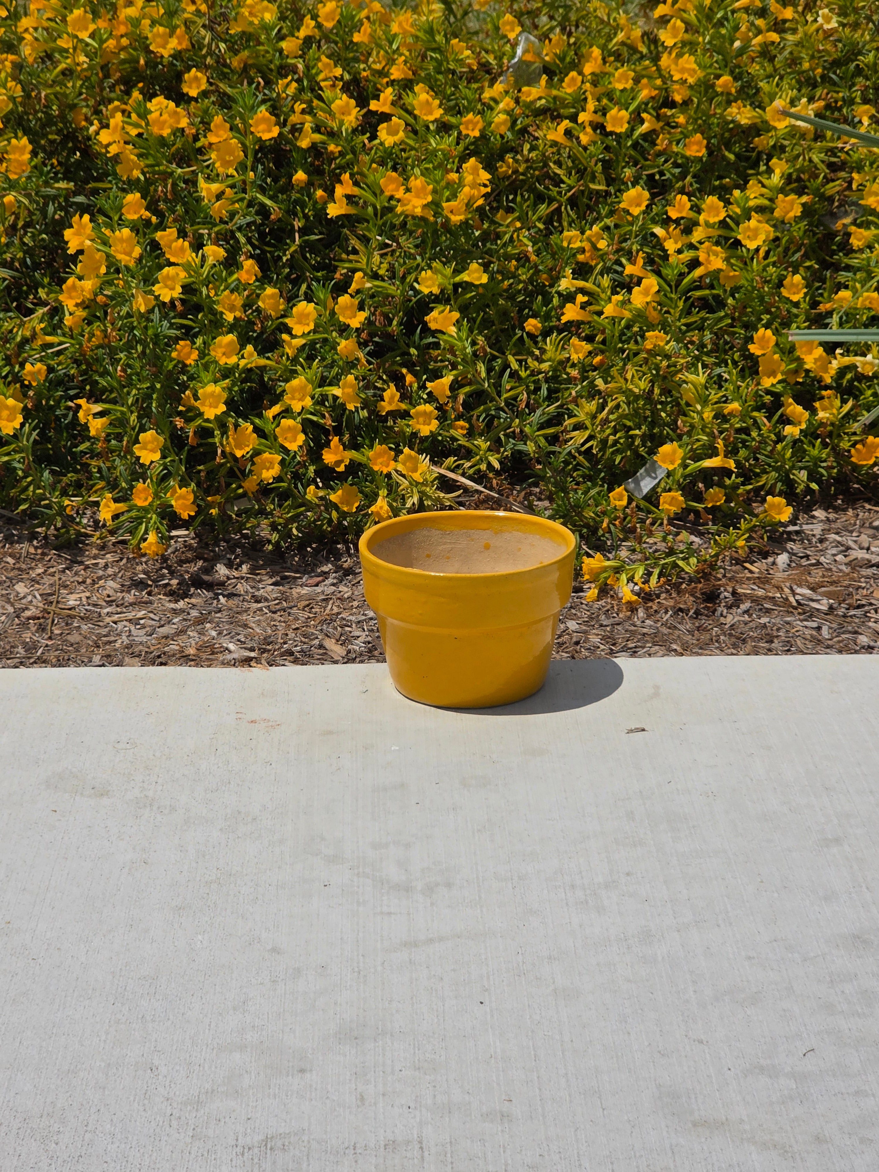 Vintage Yellow Glazed Terracotta Flower Pot Planter Mid Century 6.25"