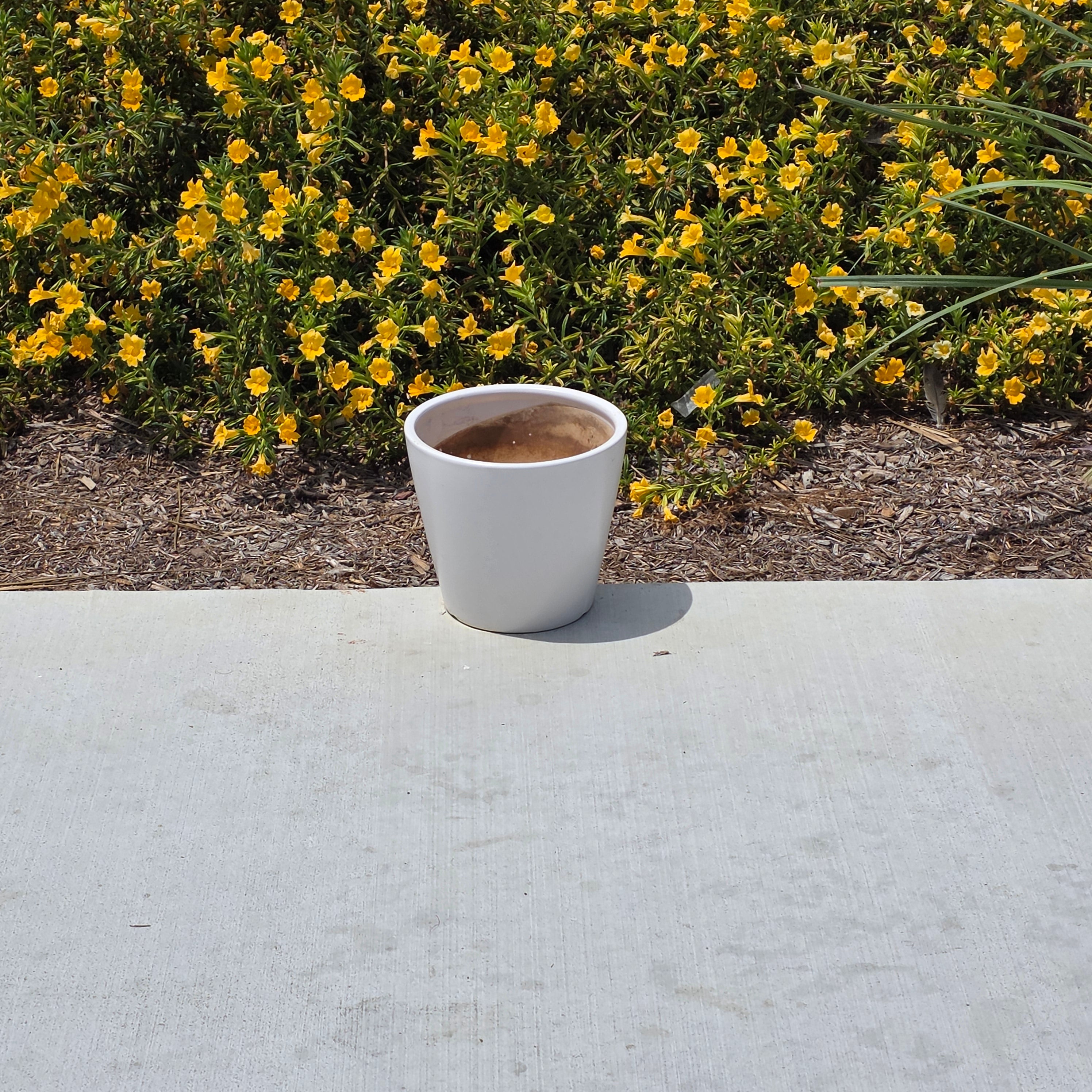 Vintage Satin White Glazed Clay Plant Pot Silky Terracotta Planter MCM 8" x 7"