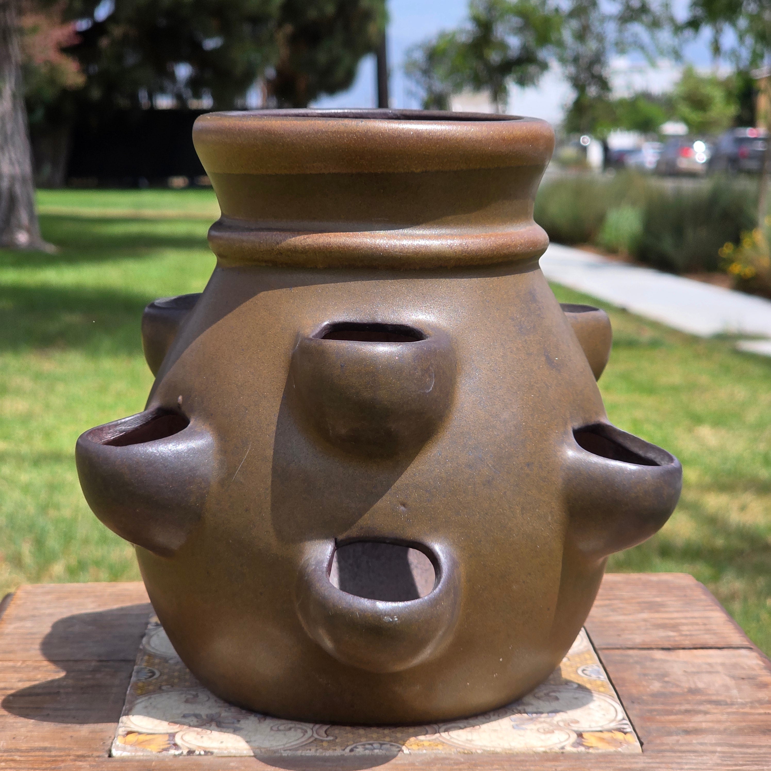 Vintage SDW Stoneware Designs West California Strawberry Pot Herb Planter 7.5"