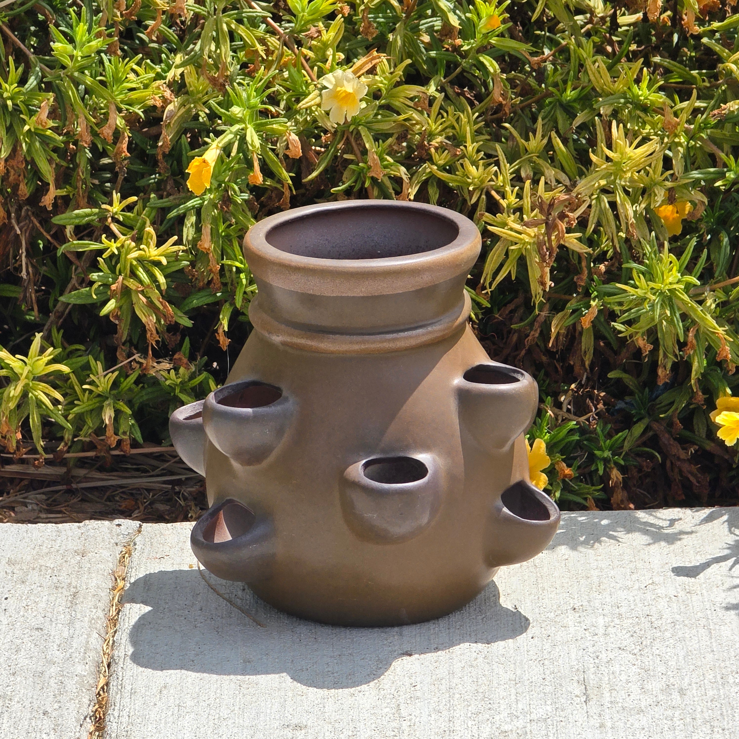 Vintage SDW Stoneware Designs West California Strawberry Pot Herb Planter 7.5"