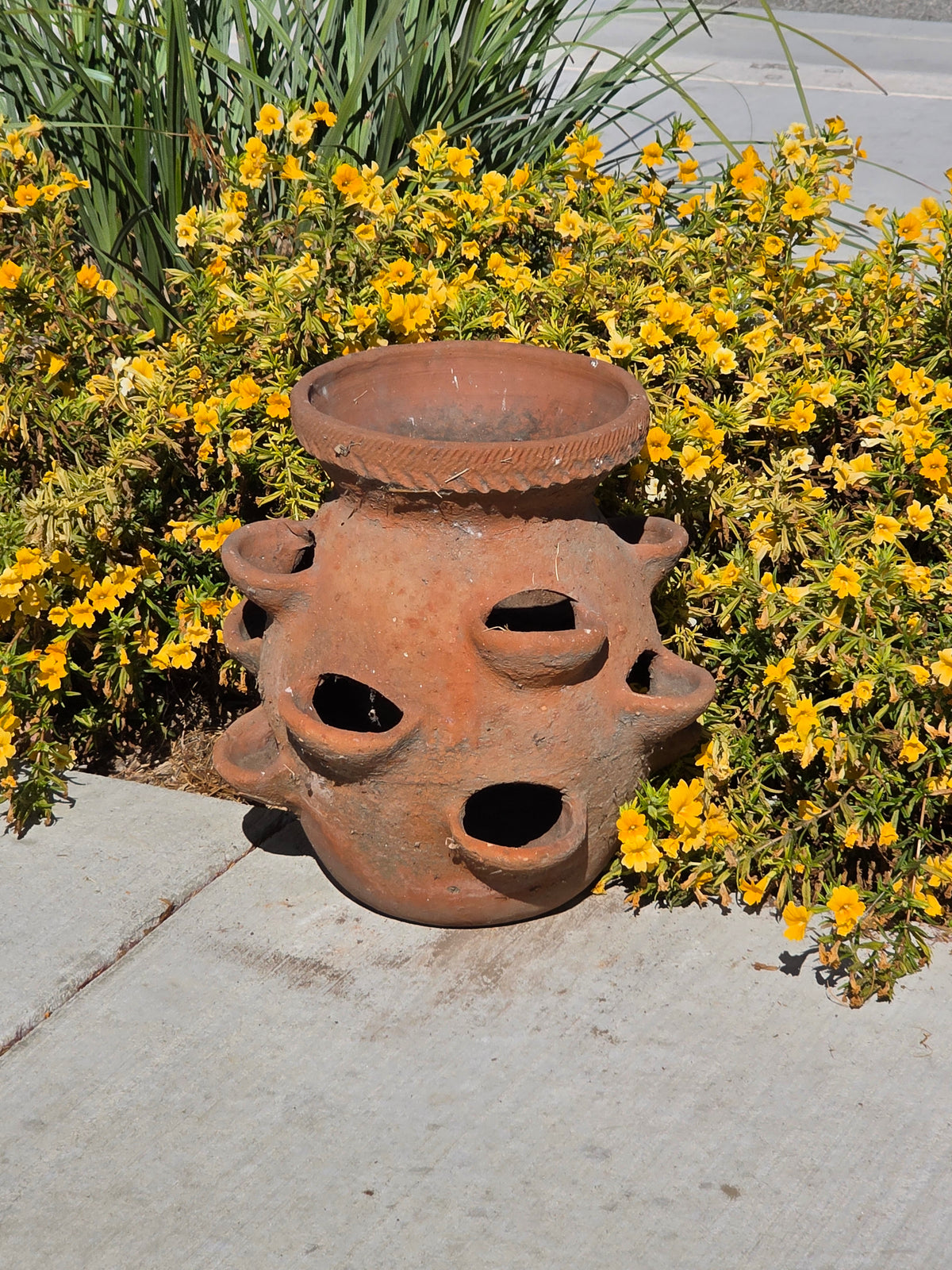 Vintage Terracotta Strawberry Planter Pot 12 Pocket Large Rustic Clay Jar 17"
