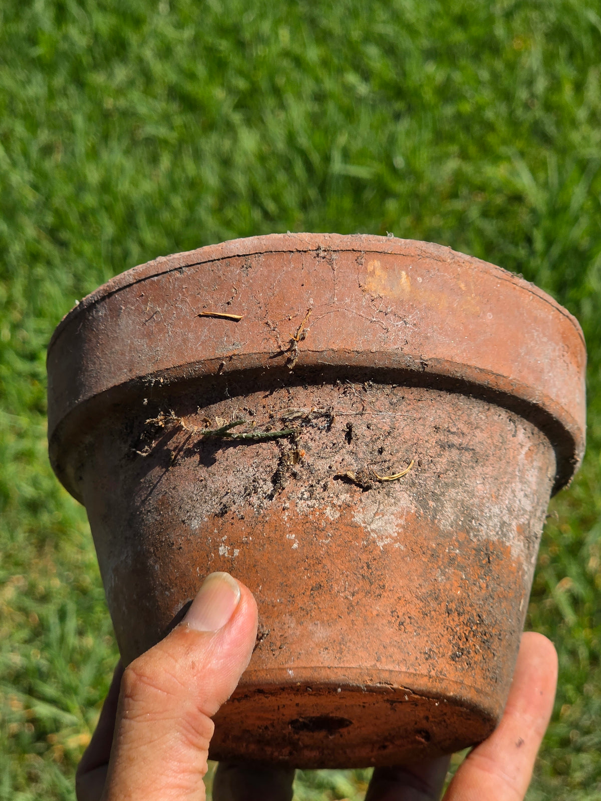 Vintage Deroma Italy Terracotta Planter Pots Lot 3 Clay Flower Garden 5.5"
