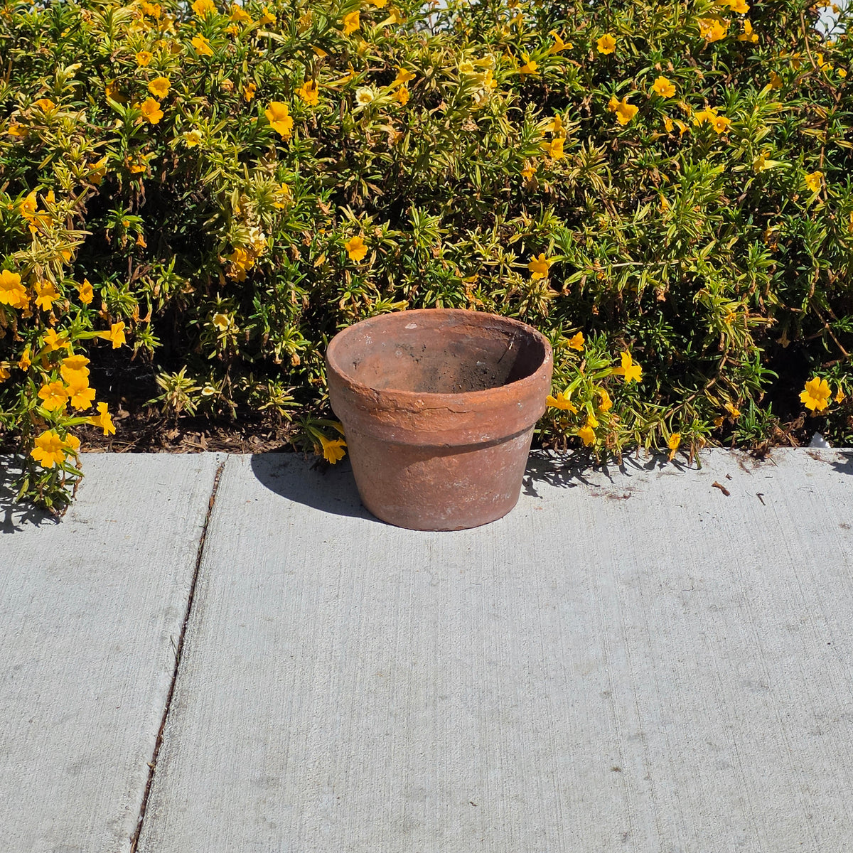 Vintage Terracotta Flower Pot 8.75" Clay Planter Rustic Garden