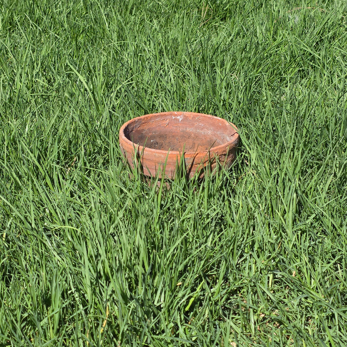 Vintage Terracotta Flower Pot 8.75" Clay Planter Rustic Garden