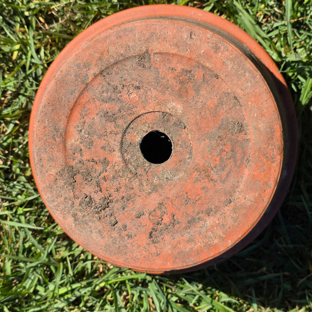 Vintage Italy Terracotta Plant Pot 10" Clay Planter Stamped Flower Pot Garden
