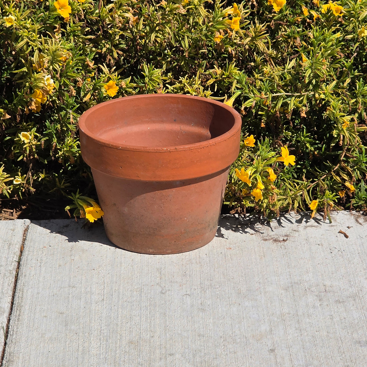 Vintage Italy Terracotta Plant Pot 10" Clay Planter Stamped Flower Pot Garden