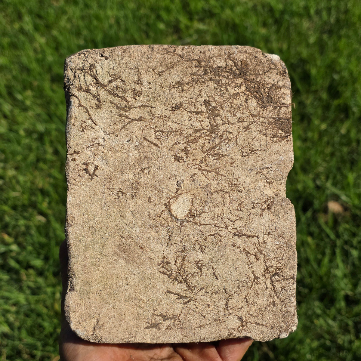Vintage Carved Stone Fish Gargoyle Garden Statue Ornament Figurine Heavy 6"