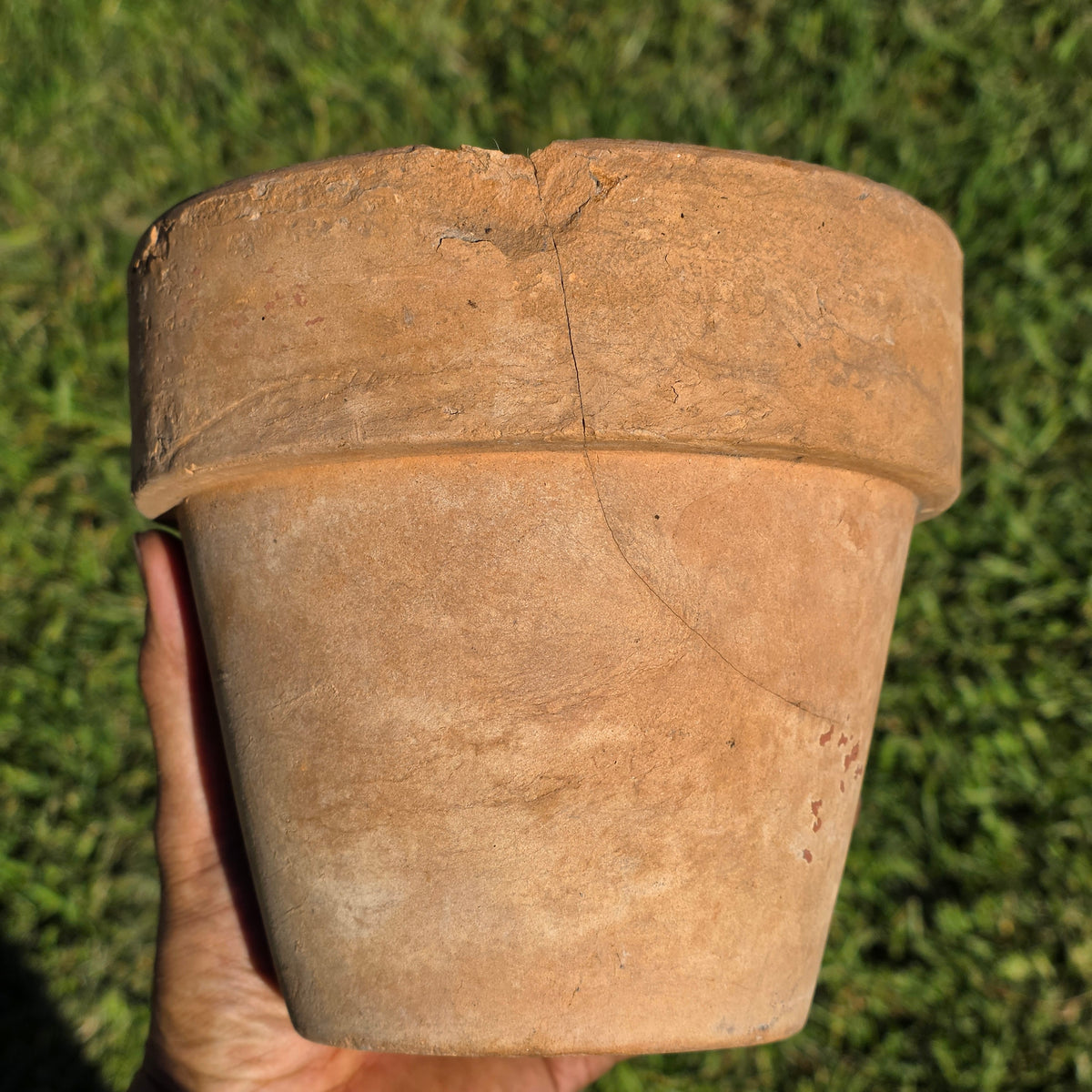 Antique Catalina Island Pottery Terracotta Flower Pot 6" Toyon Red Clay CA 1920s