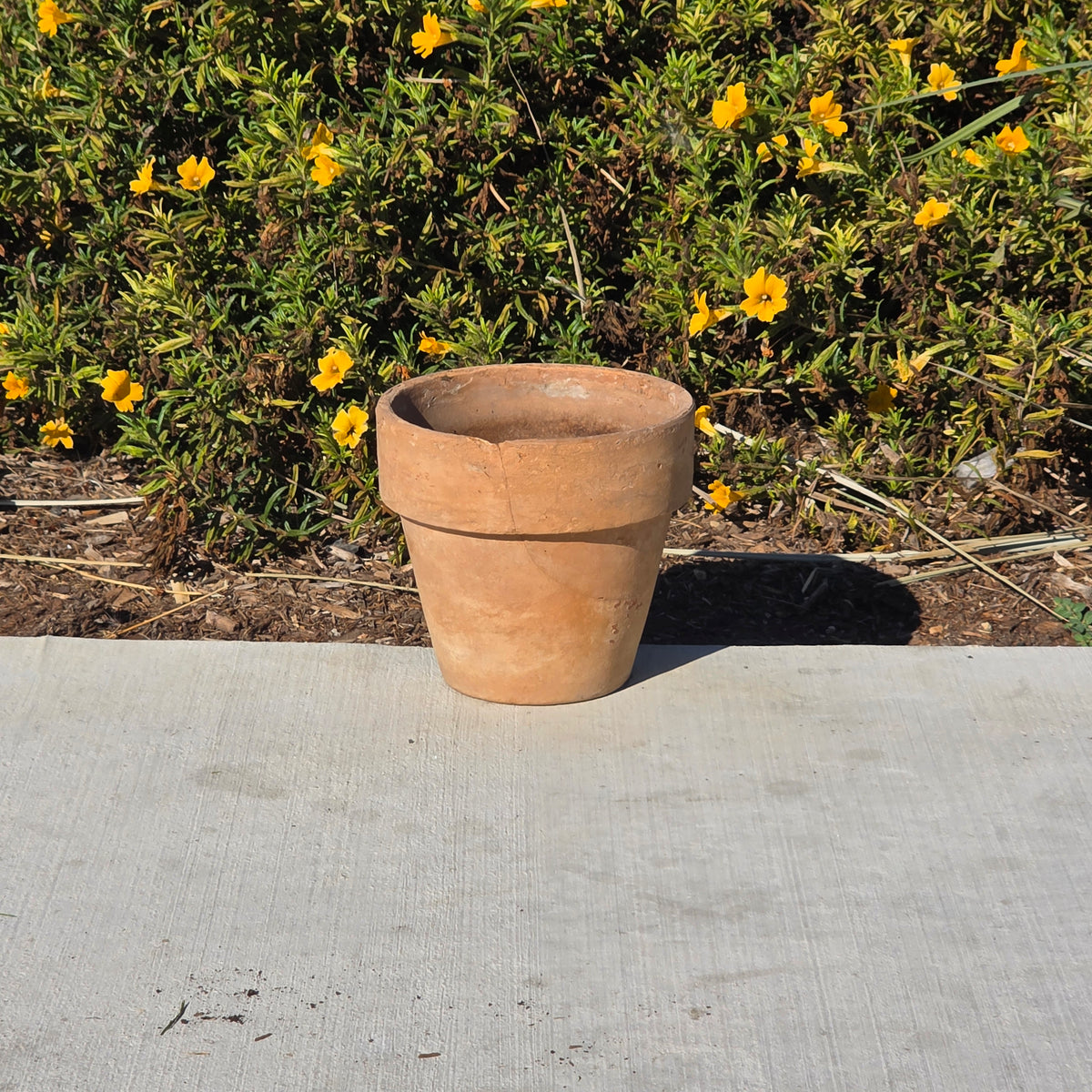 Antique Catalina Island Pottery Terracotta Flower Pot 6" Toyon Red Clay CA 1920s
