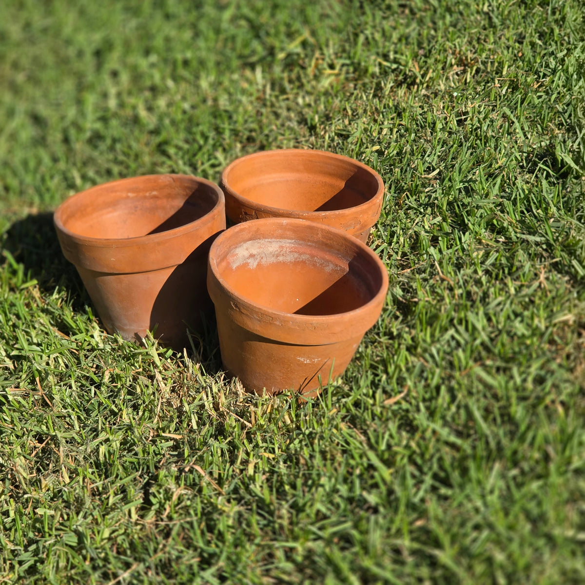 3 Vtg Euganea Vasi Italy Terracotta Planter Pot Lot EV 16 Aged Clay Flowerpot