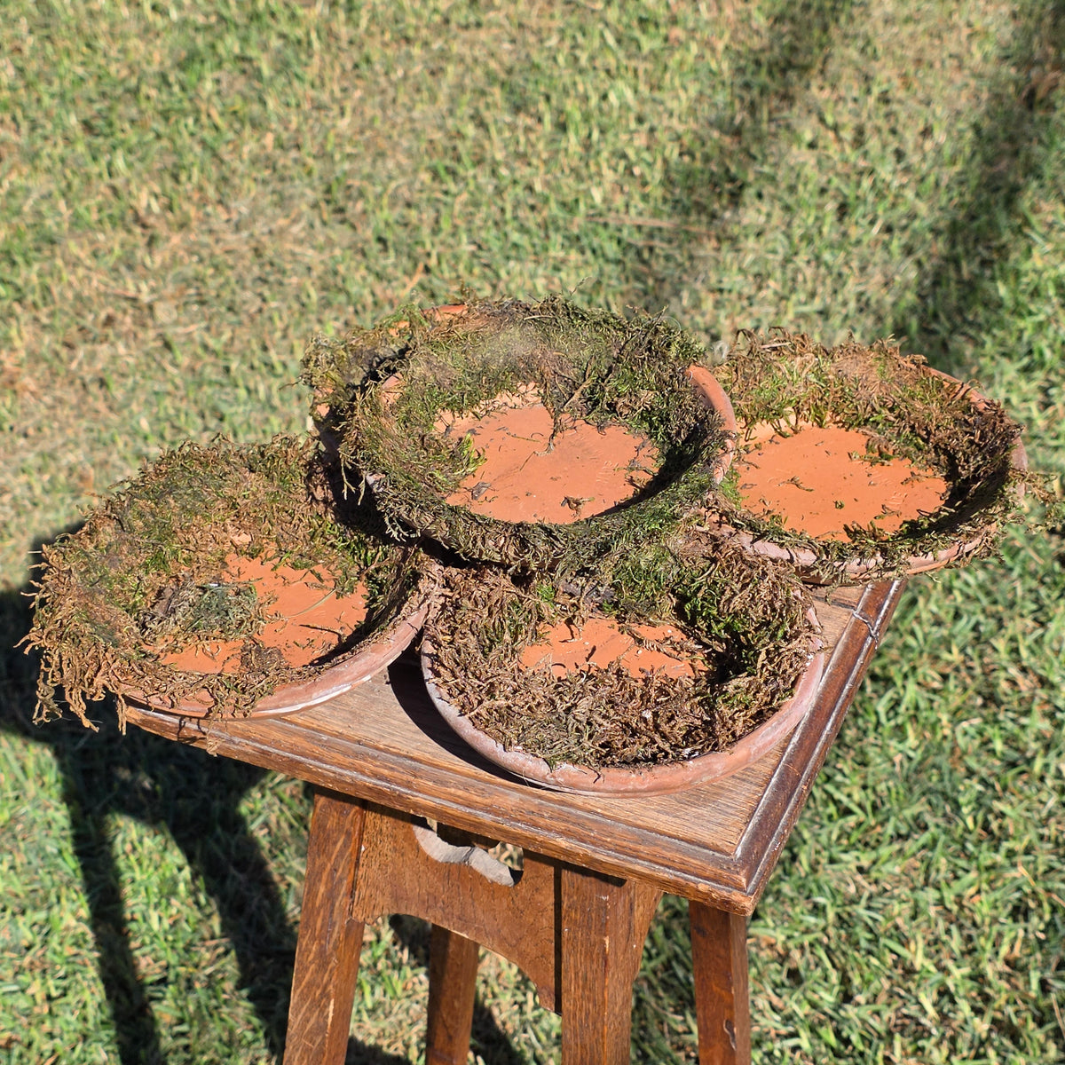 Set of 5 DeRoma Terracotta Saucer 6.25" Italy Moss Clay Planter Base Aged Vtg