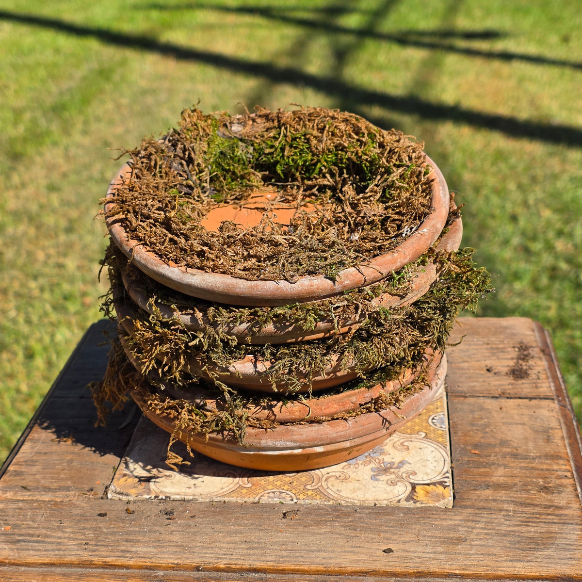 Set of 5 DeRoma Terracotta Saucer 6.25" Italy Moss Clay Planter Base Aged Vtg