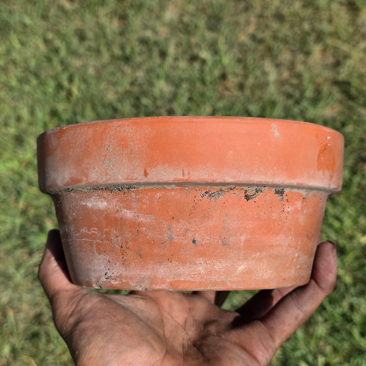 Vtg Terracotta Shallow Bowl Pot 6.5" Clay Planter Succulent Cactus Garden Aged