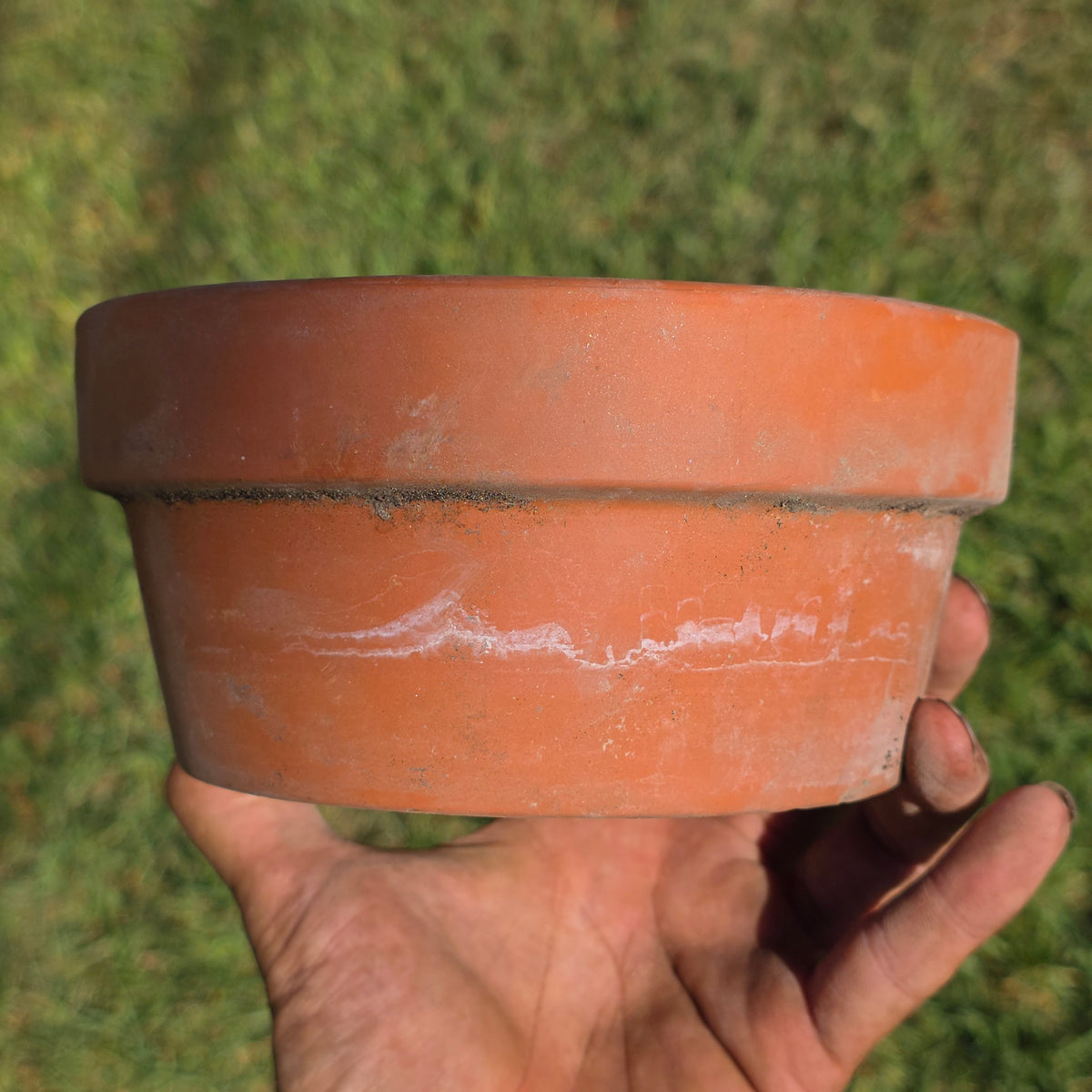 Vtg Terracotta Shallow Bowl Pot 6.5" Clay Planter Succulent Cactus Garden Aged