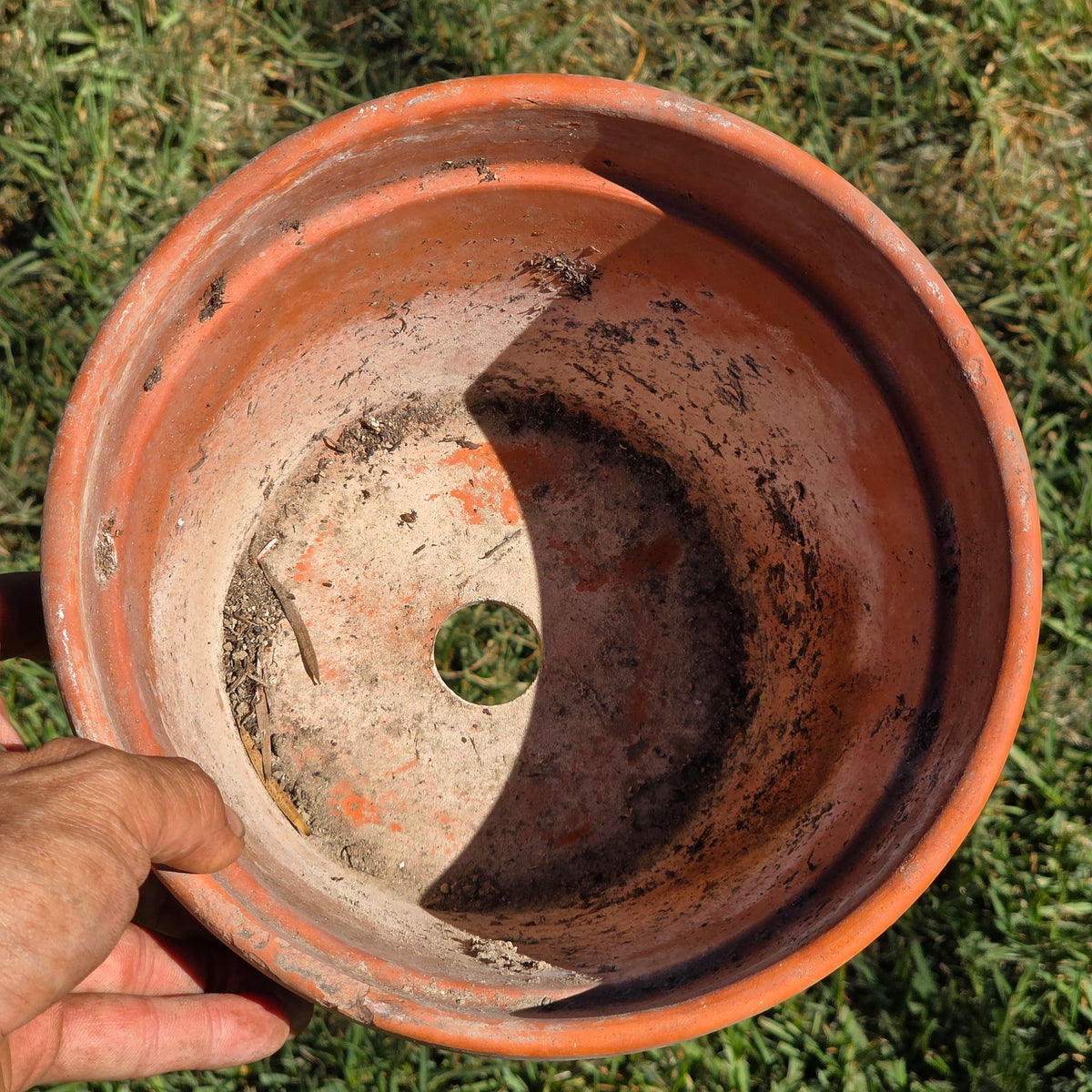 Vtg Vaserie Trevigiane Terracotta Flower Pot Italy Signed Round Planter 21 8"