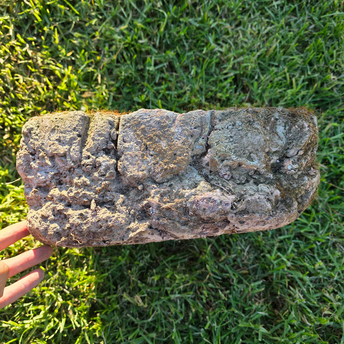 Vtg Mossy Concrete Planter Square Shell Flower Handmade Cement Garden Pot 21lb
