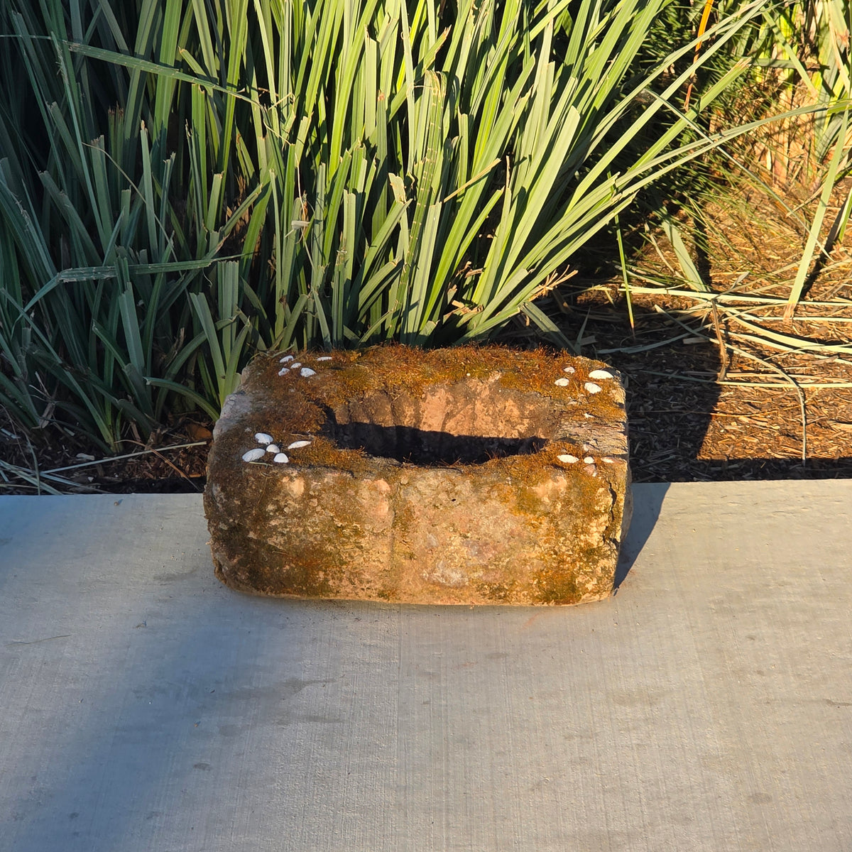 Vtg Mossy Concrete Planter Square Shell Flower Handmade Cement Garden Pot 21lb