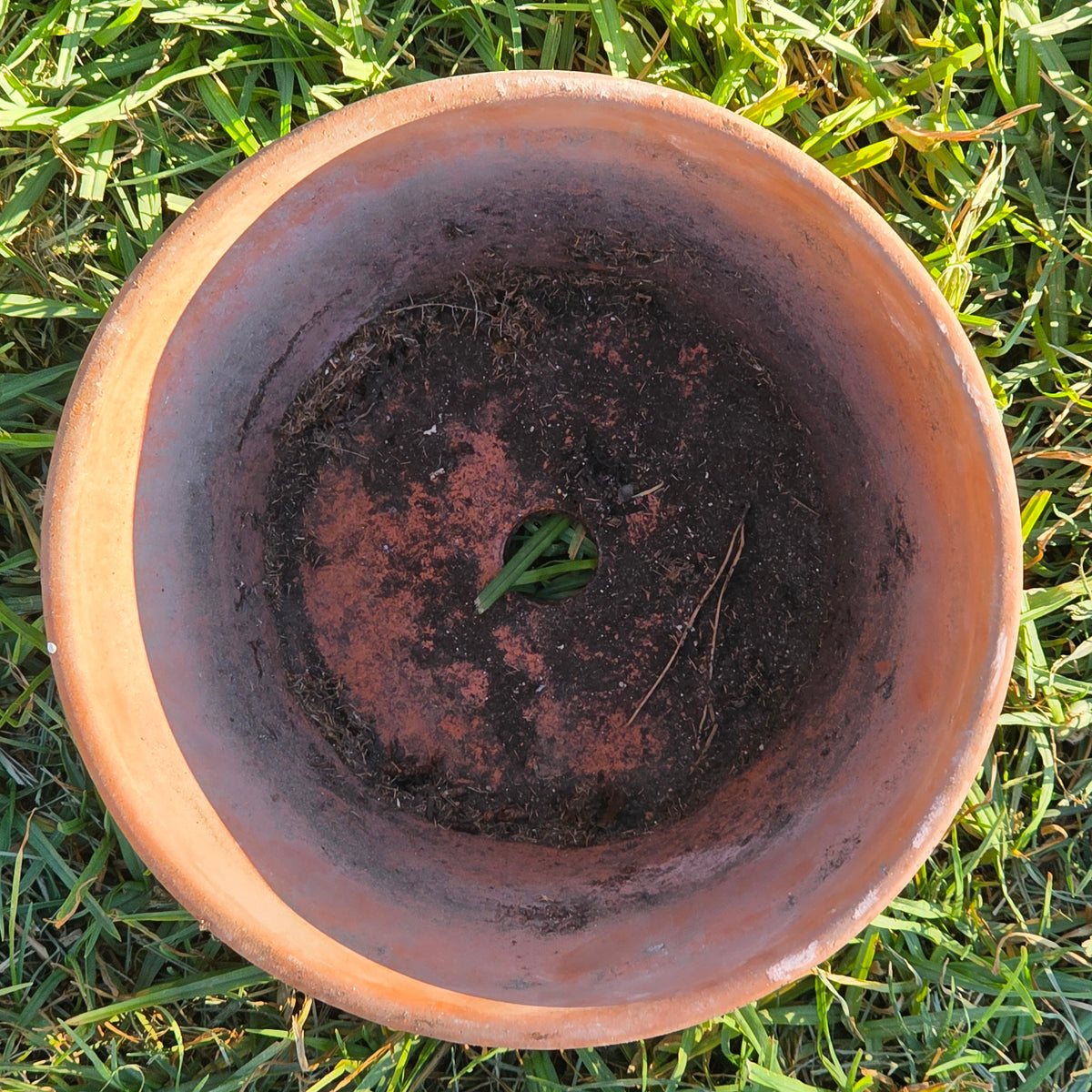 Vtg Terracotta Azalea Pot Flat Rim Clay Planter Semi Shallow Squat Garden 8.5x6