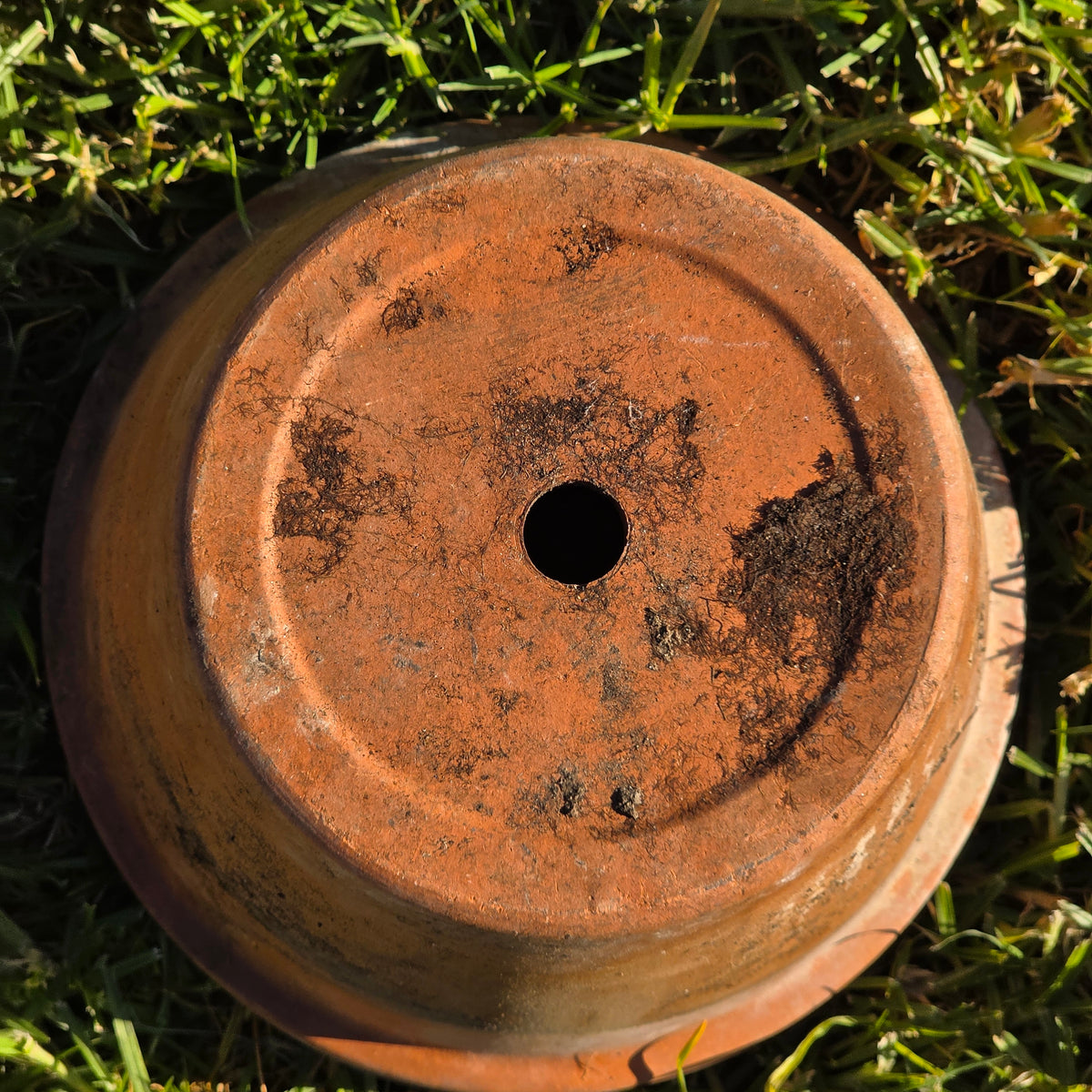 Vintage Euganea Vasi EV 25 Terracotta Plant Pot Made in Italy Clay Planter 10"