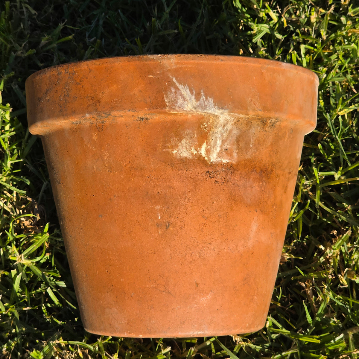 Vintage Euganea Vasi EV 25 Terracotta Plant Pot Made in Italy Clay Planter 10"
