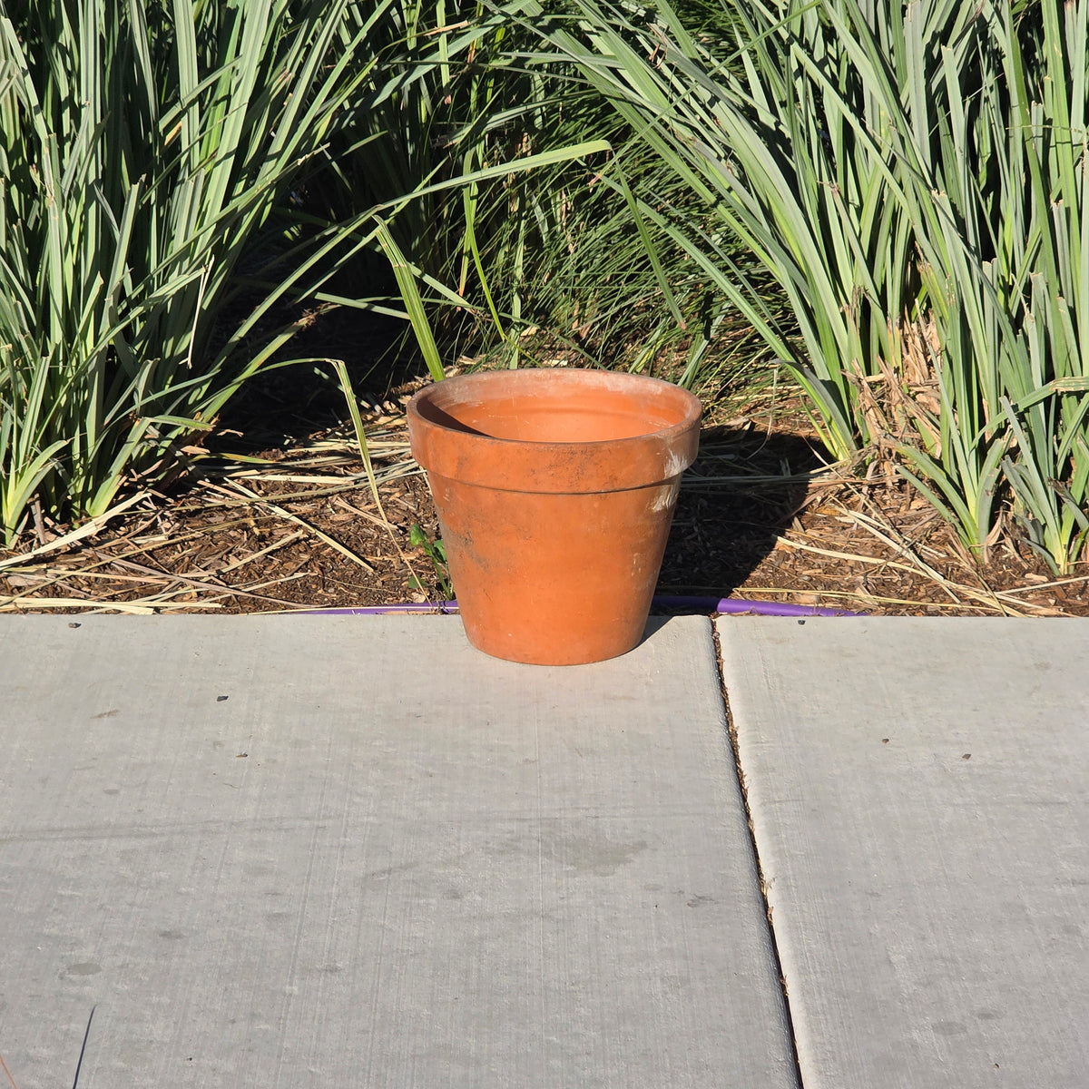 Vintage Euganea Vasi EV 25 Terracotta Plant Pot Made in Italy Clay Planter 10"