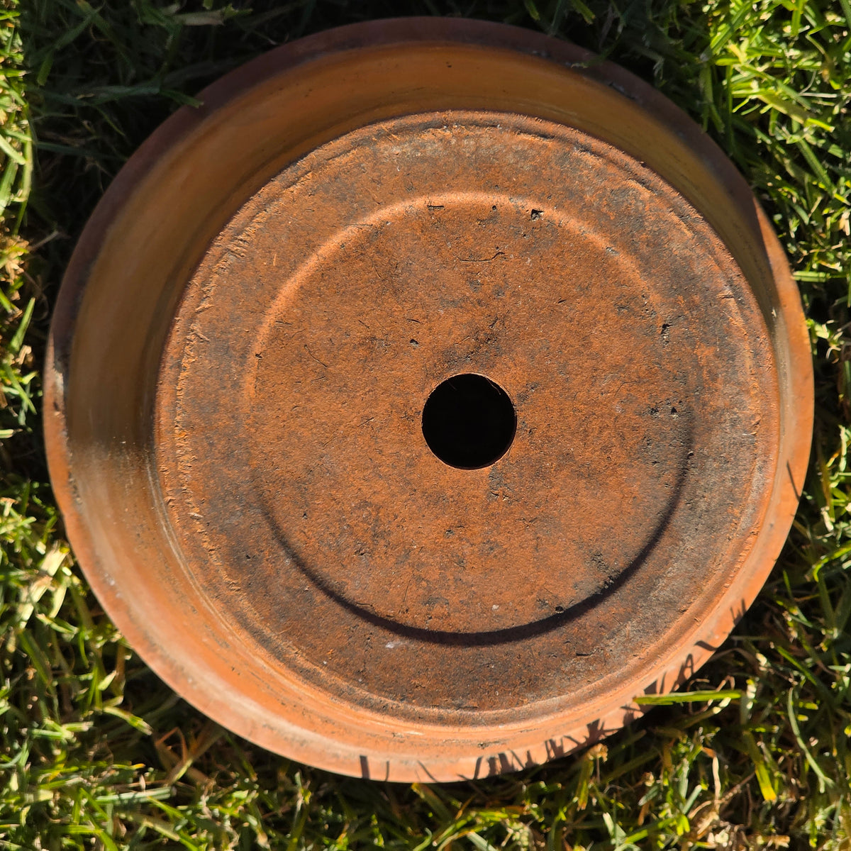 Vtg Euganea Vasi EV 31 Terracotta Plant Pot Italy Clay Planter Extra Large 12"