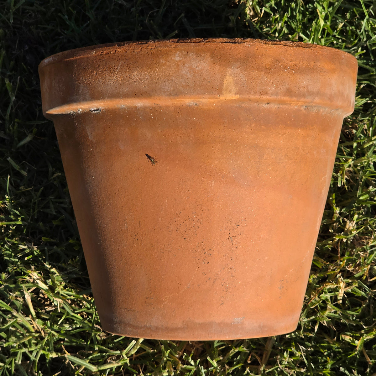 Vtg Euganea Vasi EV 31 Terracotta Plant Pot Italy Clay Planter Extra Large 12"