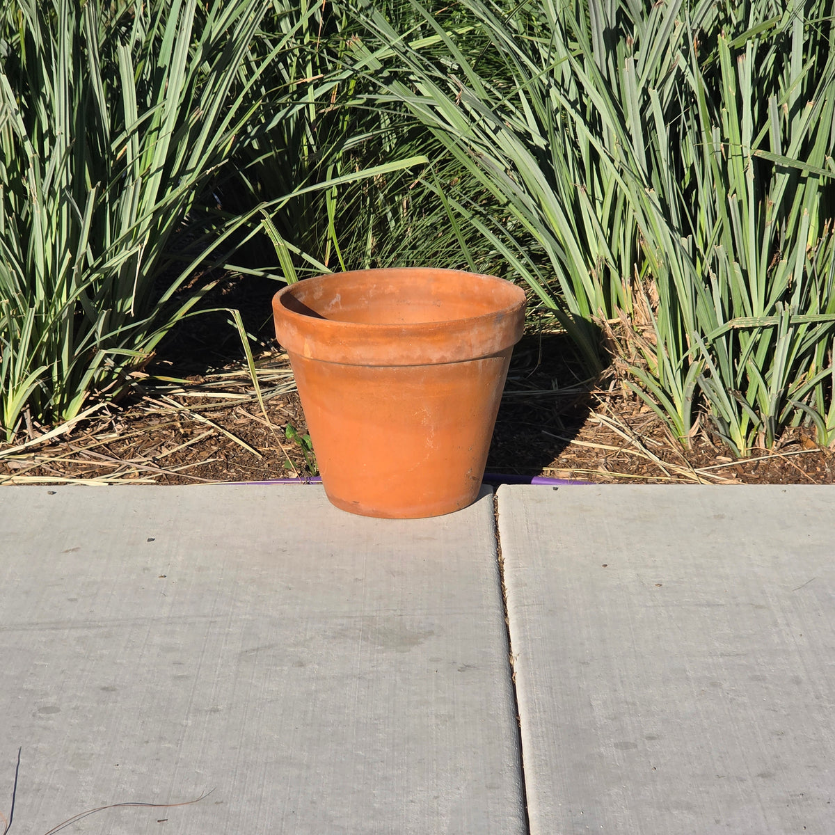 Vtg Euganea Vasi EV 31 Terracotta Plant Pot Italy Clay Planter Extra Large 12"
