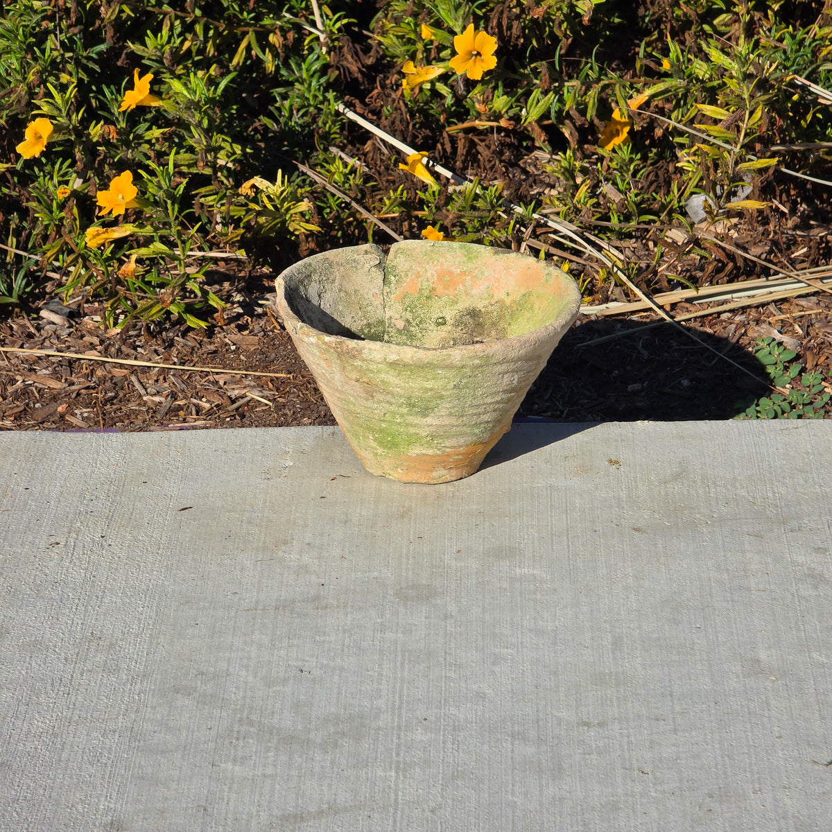 Reserved/Antique French Terracotta Resin Collecting Pot Wheel Thrown Clay Planter Moss
