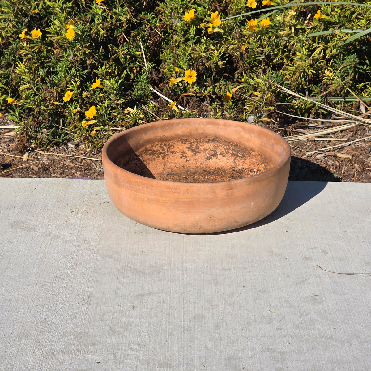 Vintage PMDI Terracotta Bowl Planter Pottery Mfg Mexico Succulent Bonsai 14"
