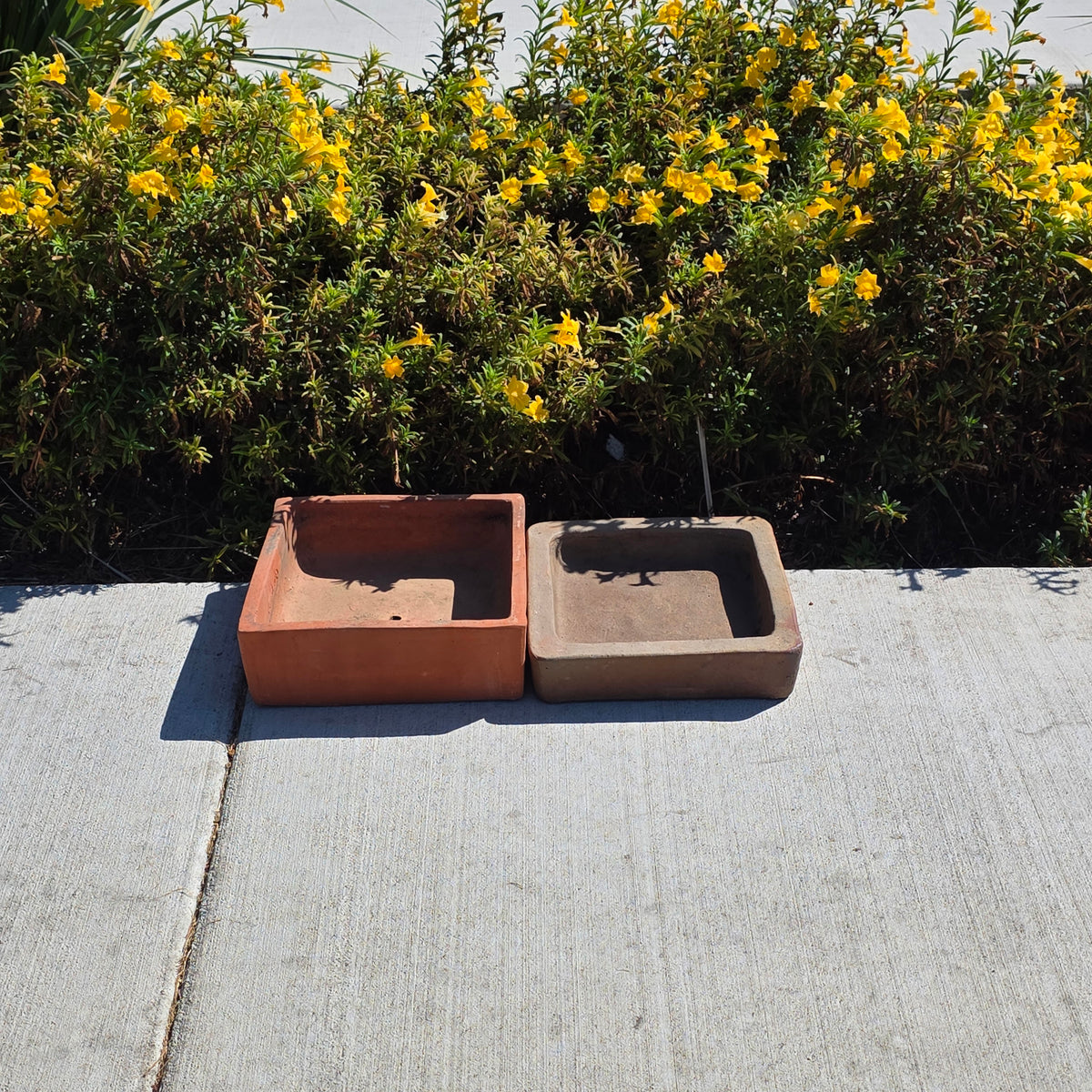 Vtg Toscana Terracotta Bonsai Planter Pot Square Succulent Cachepot with Saucer (Copy)