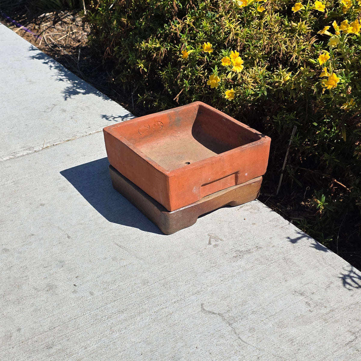 Vtg Toscana Terracotta Bonsai Planter Pot Square Succulent Cachepot with Saucer (Copy)