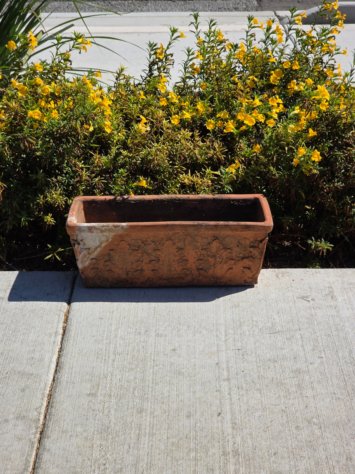 Vintage SILMA Italy Terracotta Rectangular Planter 20" Acanthus Leaf Window Box