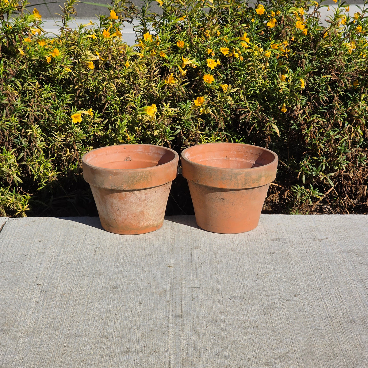 Pair of 2 ITERRA 20 Terracotta Planters Clay Flower Pots Made in Italy 8" Vtg