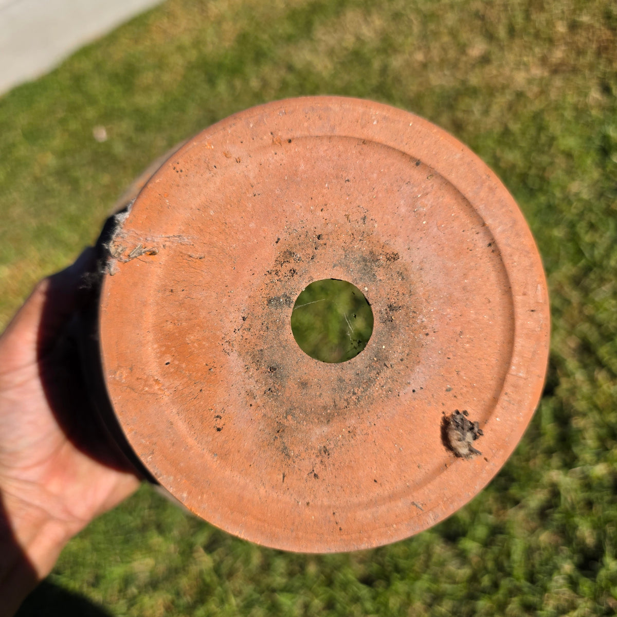 Pair of 2 Vintage ITERRA Terracotta Planter 8" Italian Clay Pots (Made in Italy)