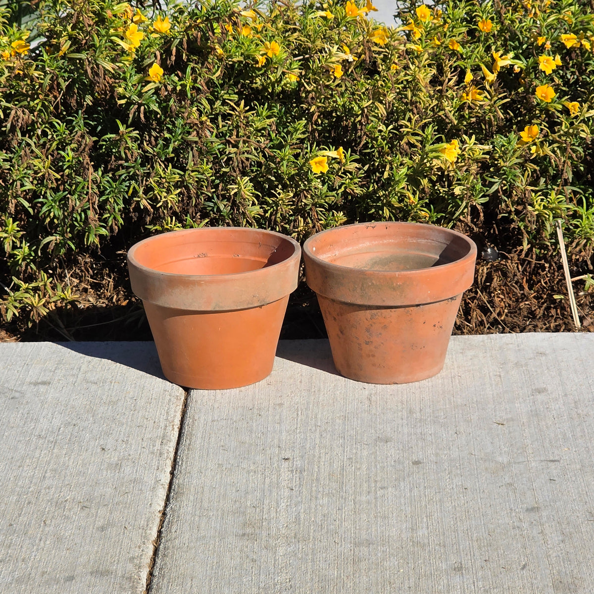 Pair of 2 Vintage ITERRA Terracotta Planter 8" Italian Clay Pots (Made in Italy)