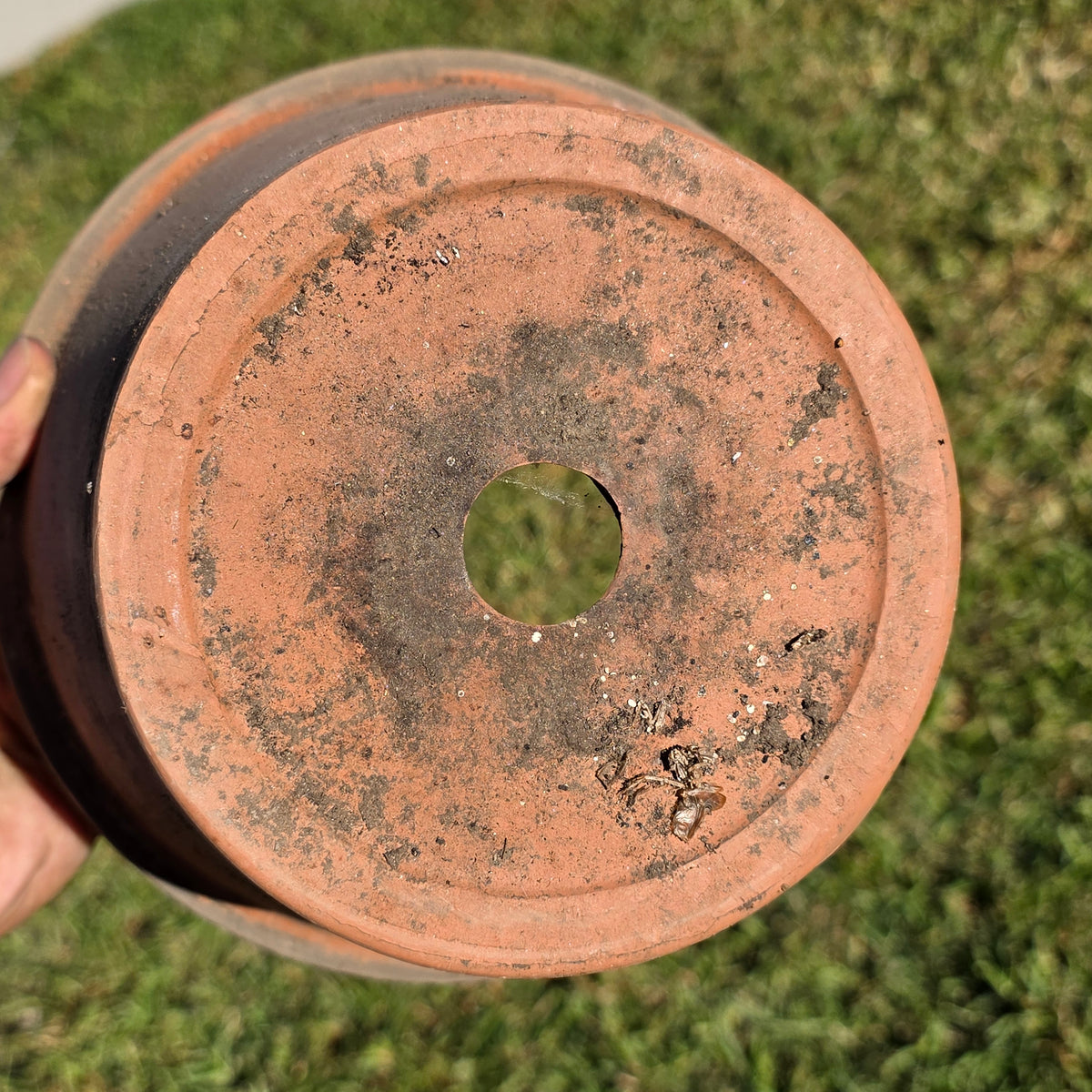 Pair of 2 Vintage ITERRA Terracotta Planter 8" Italian Clay Pots (Made in Italy)