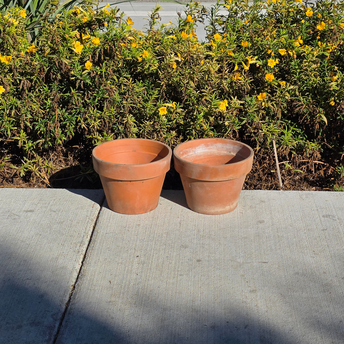 Pair of 2 Vintage ITERRA Terracotta Planter 8" Italian Clay Pots (Made in Italy)