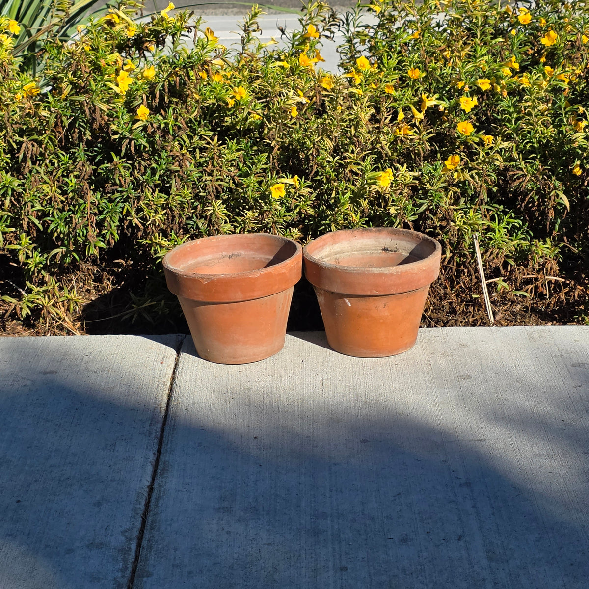 Pair of 2 Vintage ITERRA Terracotta Planter 8" Italian Clay Pots (Made in Italy)