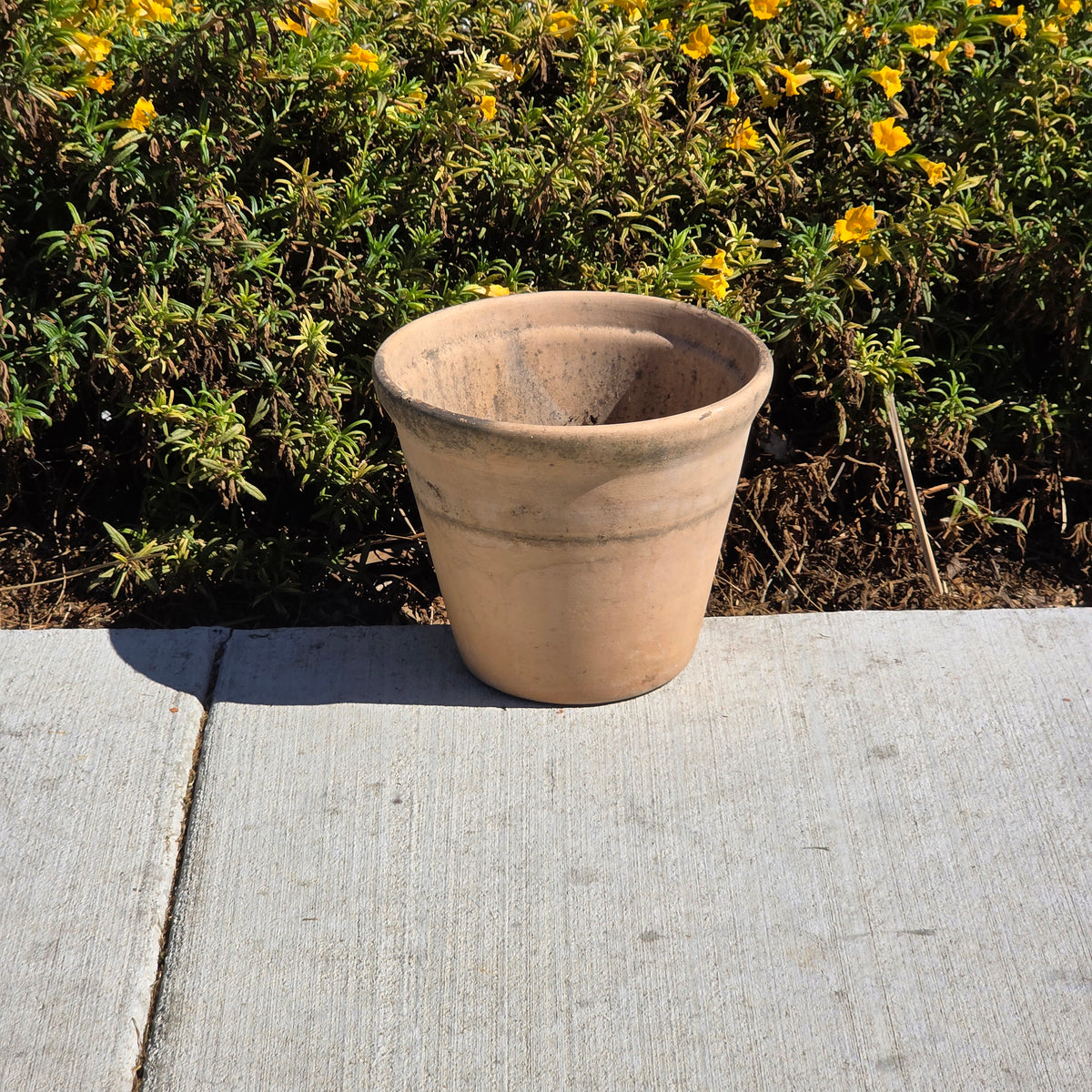Vintage Terracotta Planter Pot Heavy Aged Clay 10" Flower Rustic Rolled Rim Moss