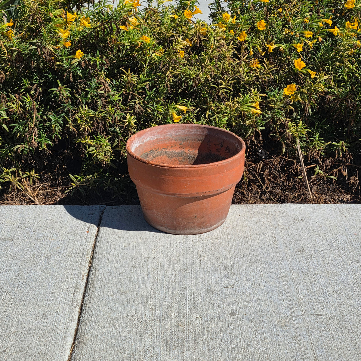Vintage Terracotta Clay Planter Pot 10" Azalea Squat Low Profile Flower Garden