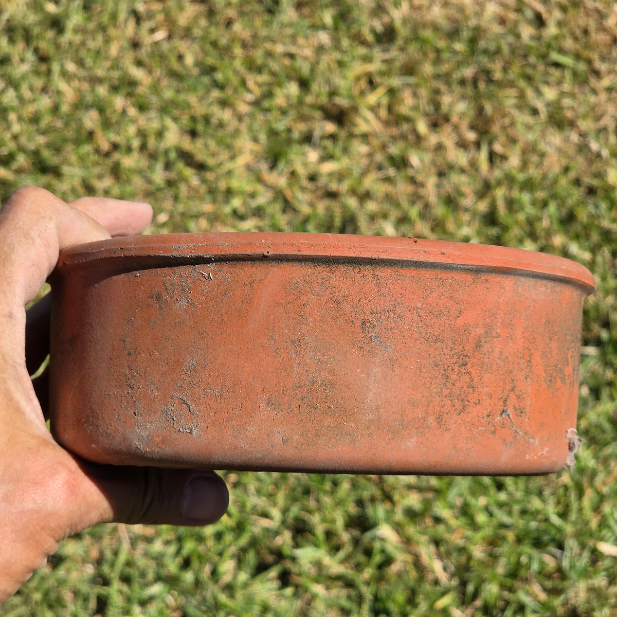 Vintage Terracotta Seed Pan Planter Bowl 7" Clay Bulb Succulent Bonsai Pot