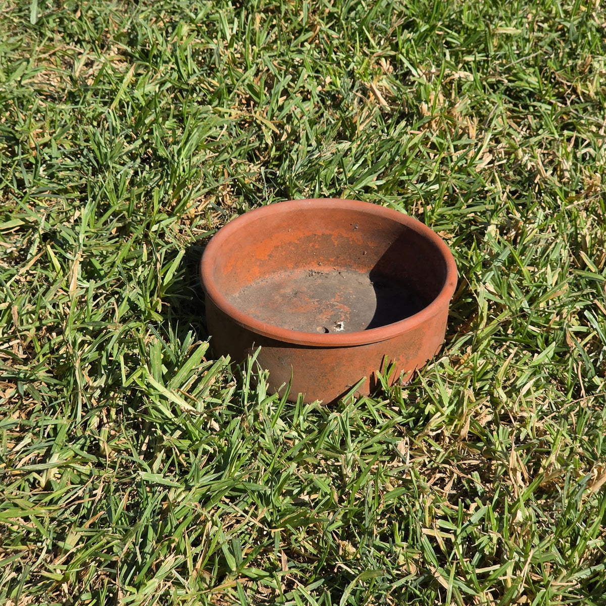 Vintage Terracotta Seed Pan Planter Bowl 7" Clay Bulb Succulent Bonsai Pot
