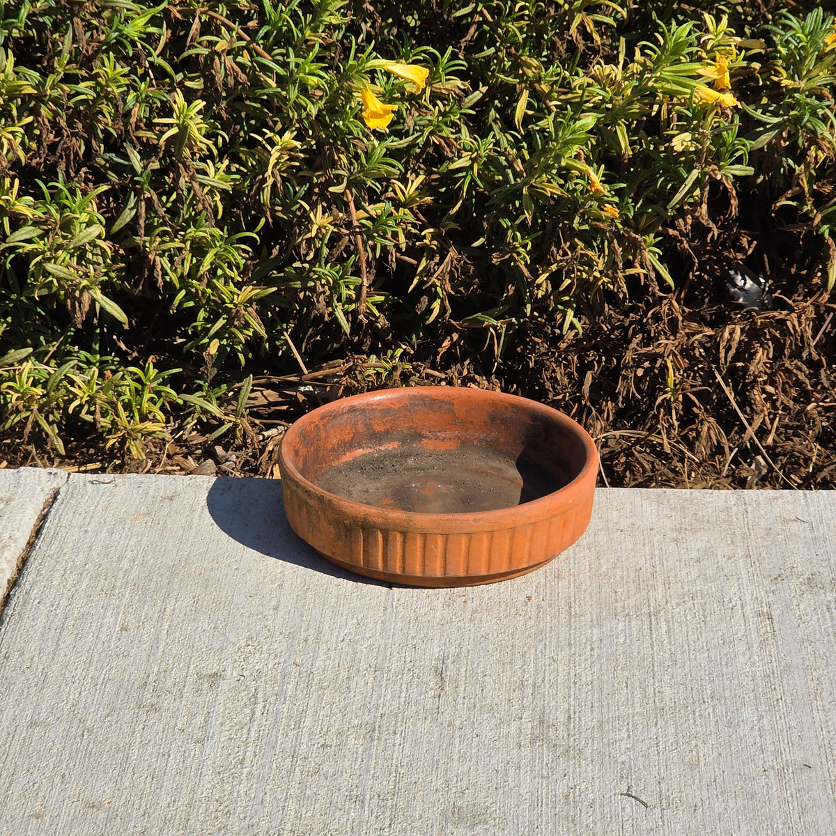 Vintage Terracotta Plant Pot Saucer 6.5" Fluted Ribbed Clay Planter Base Stamped