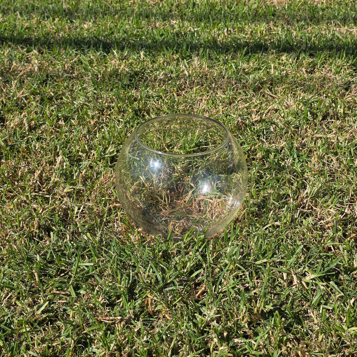 Vtg Clear Glass Fish Bowl 10" Bubble Vase Terrarium MCM Hand Blown Round Large