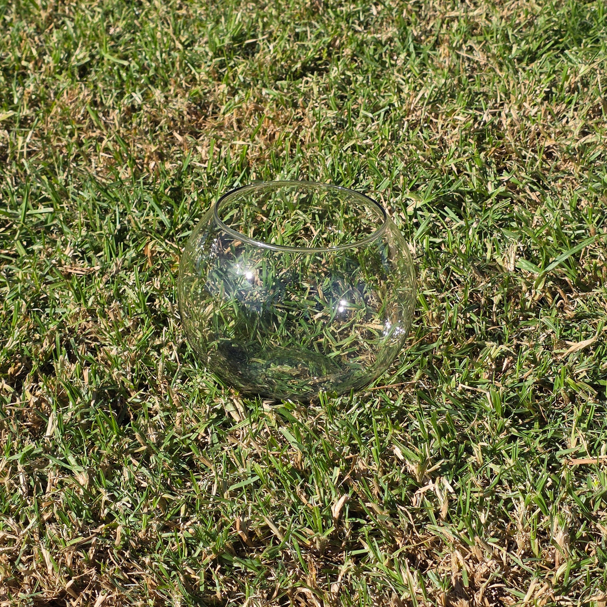Vintage Smoked Glass Fish Bowl 8" Bubble Vase Tinted Green Terrarium MCM Round