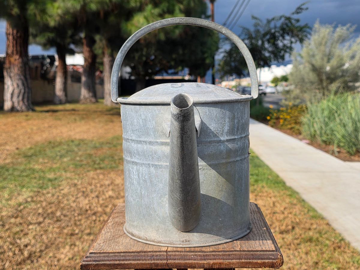 Vtg HAWS Galvanized Watering Can 1 Gallon Metal Steel Short Spout Garden England